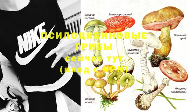 Альфа ПВП Бугульма